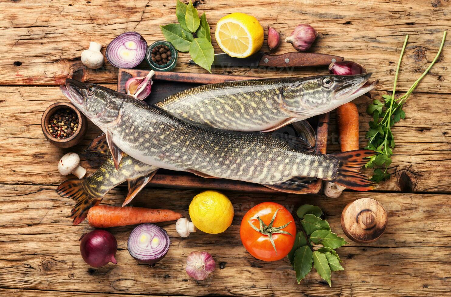 Fish pike on the kitchen board photo