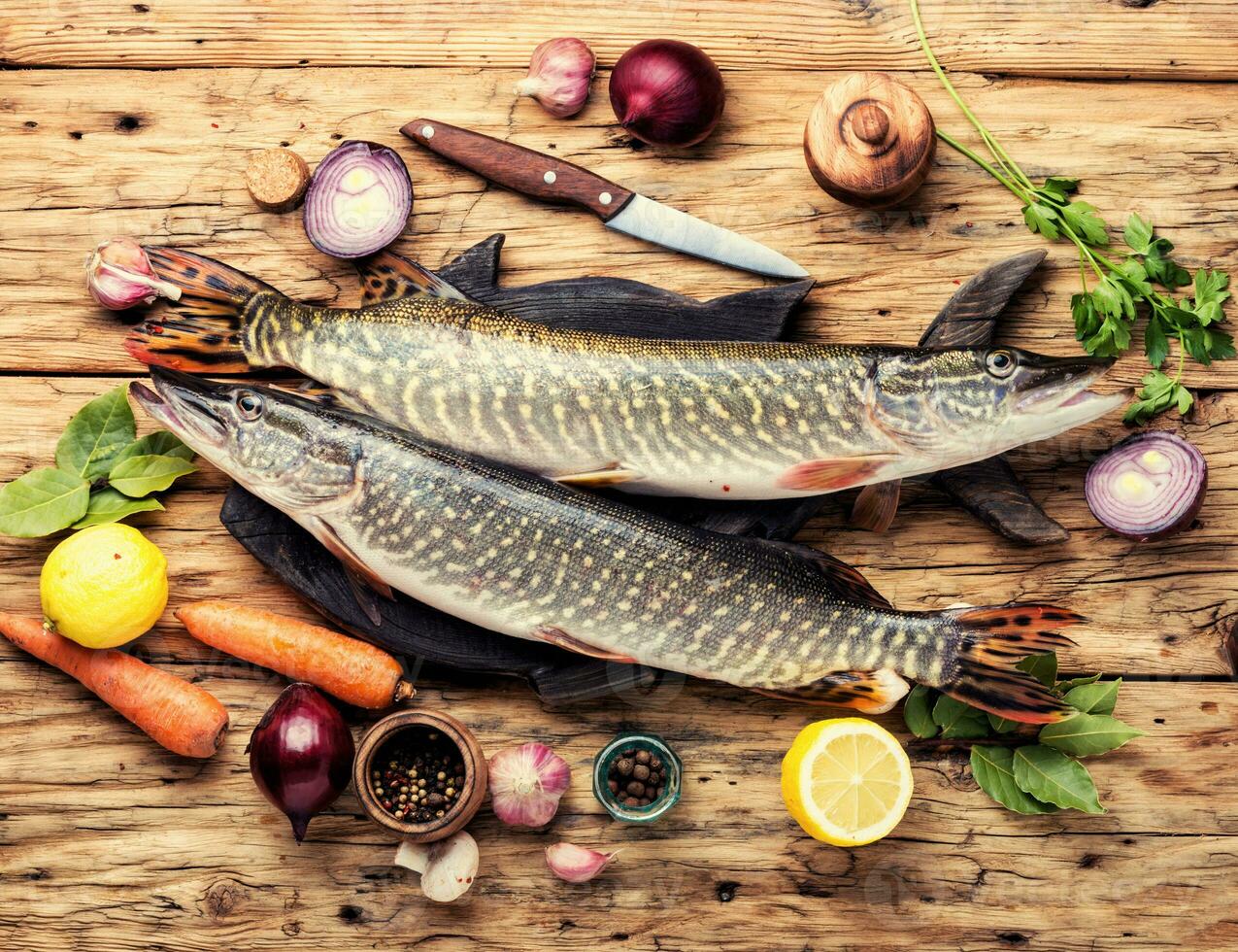 Fish pike on the kitchen board photo