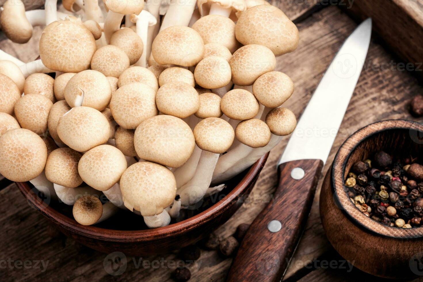 Mushrooms for cooking photo