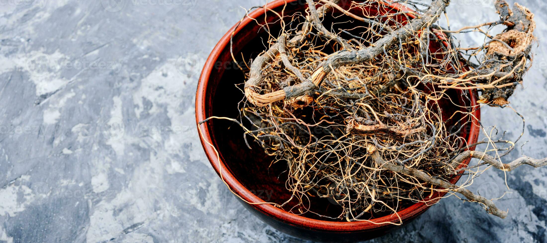 Maral root in herbal medicine photo