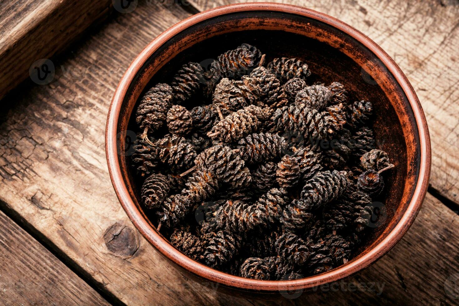 Healing alder cones photo