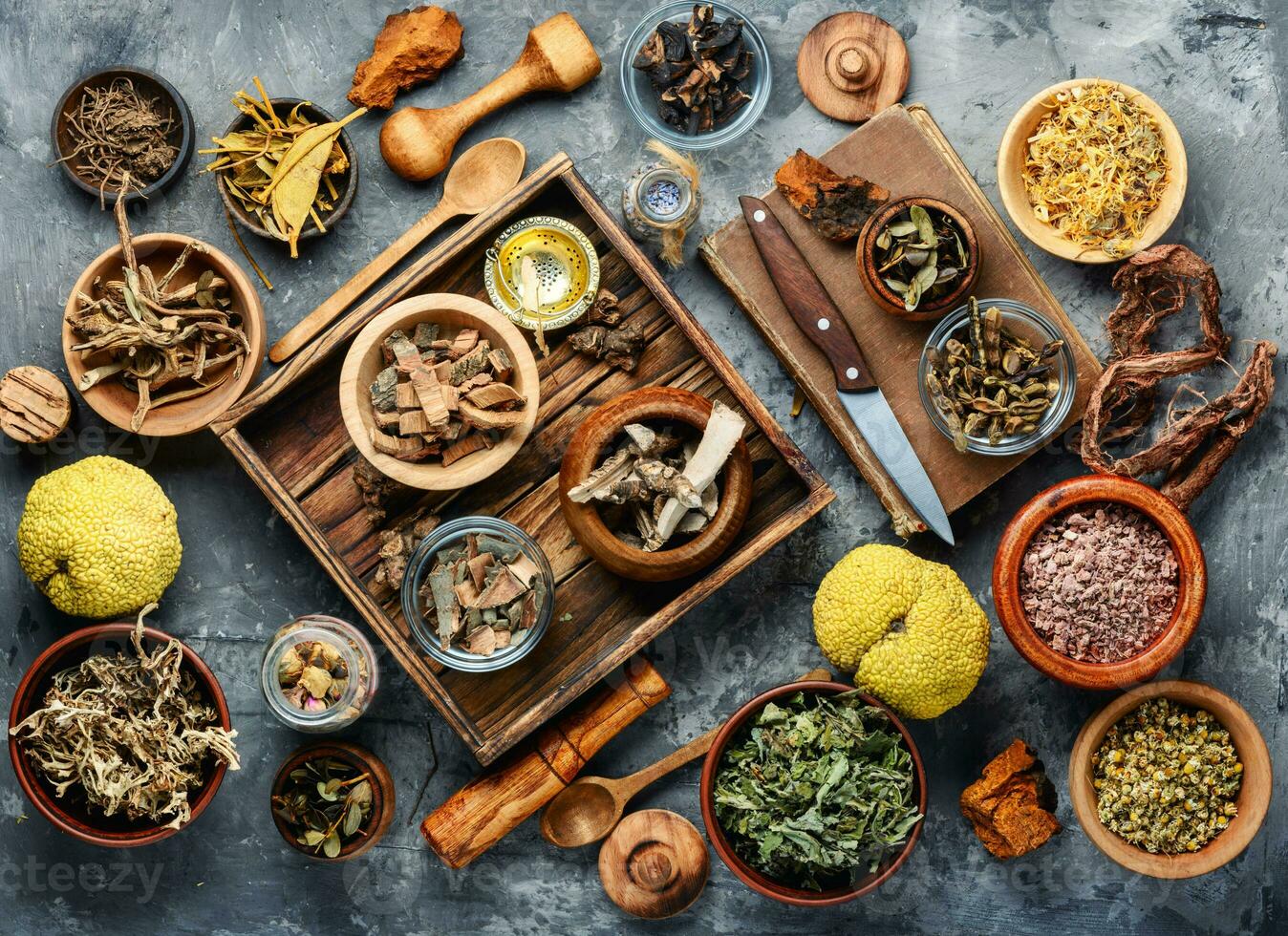 Natural herbal medicine photo