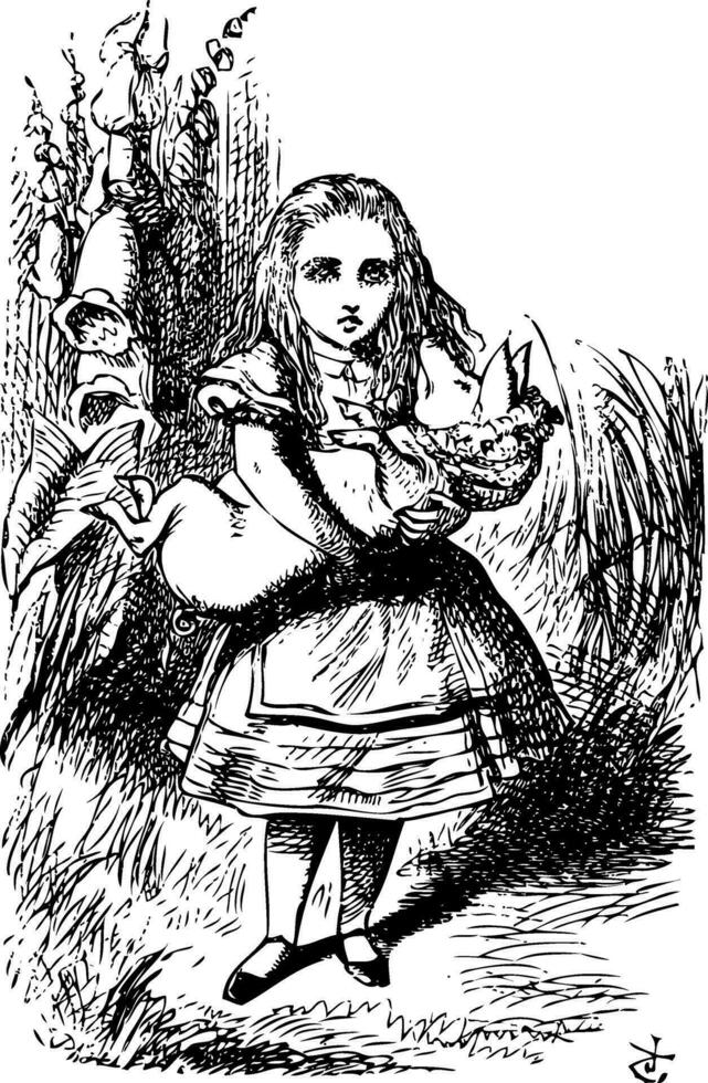 Alice and the pig baby - Alice's Adventures in Wonderland original vintage engraving vector