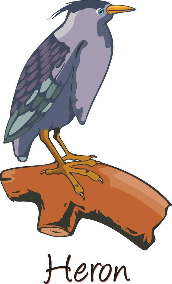 Heron, Color Illustration vector