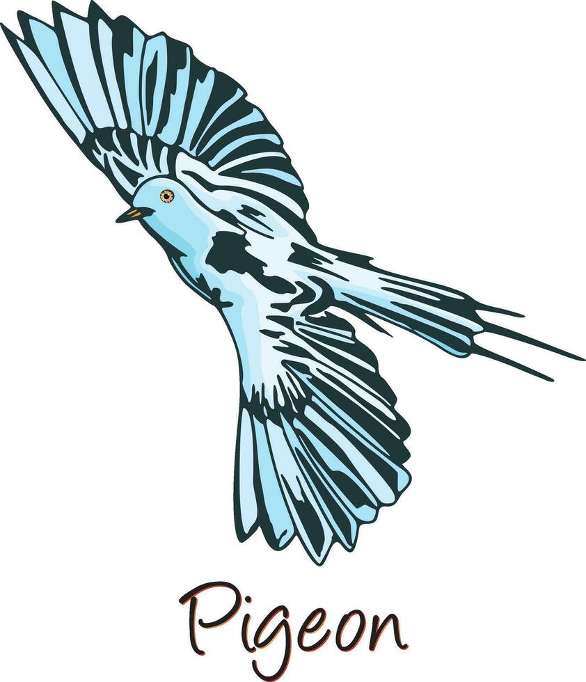 Pigeon, Color Illustration vector