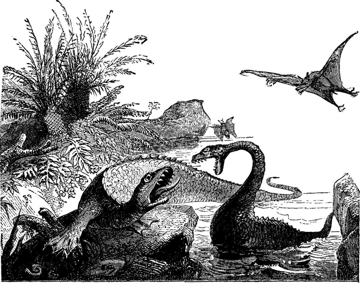 Scene from the Jurassic period, Ichthyosaur, plesiosaur, pterosaur, vintage engraving. vector
