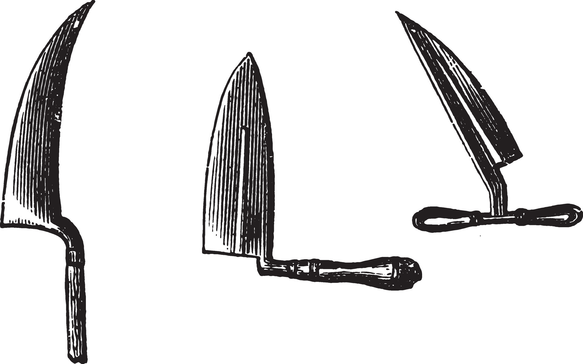 Three Kinds of Trowels 34498907 Vector Art at Vecteezy