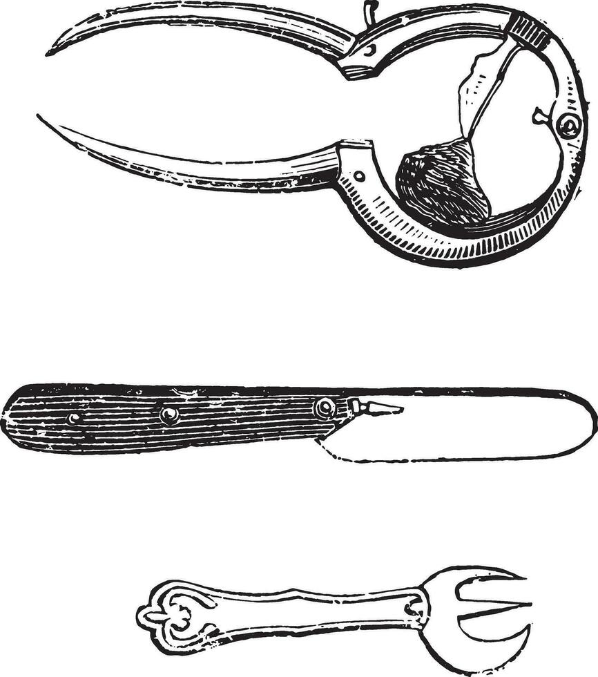 Oysters tool, vintage engraving. vector