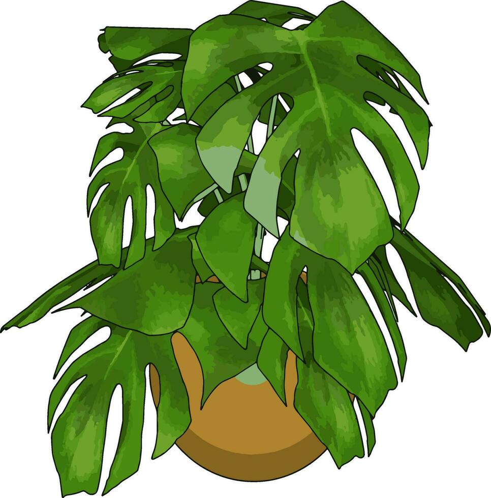 Green plants in pot, illustration, vector on white background.