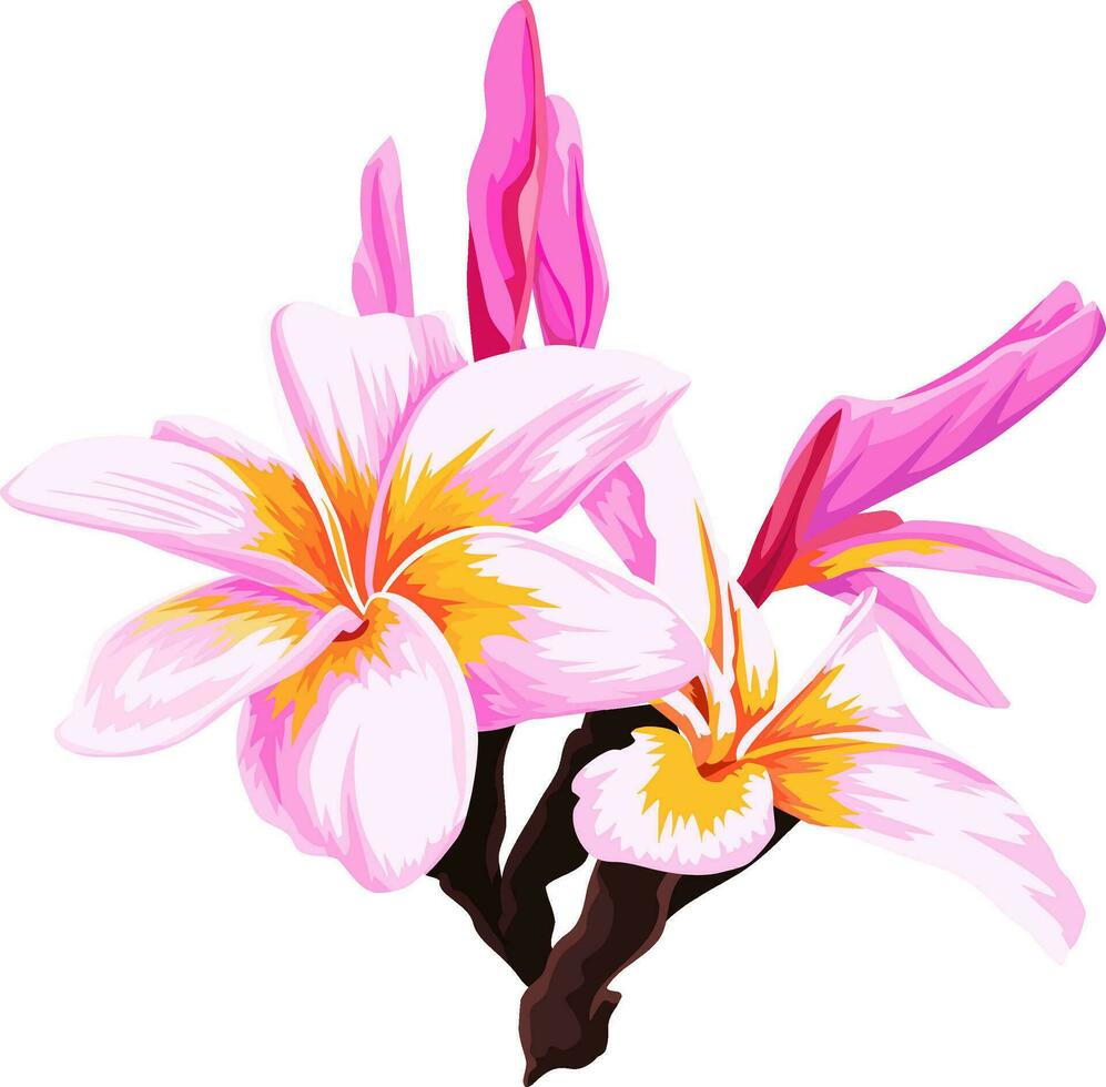 Vector of fresh pink flower.