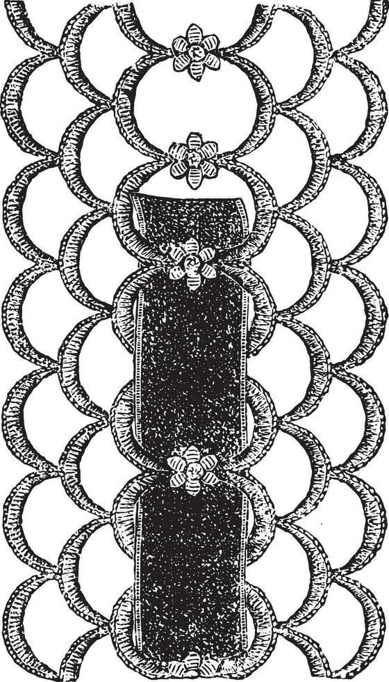 Trimming, vintage engraving. vector