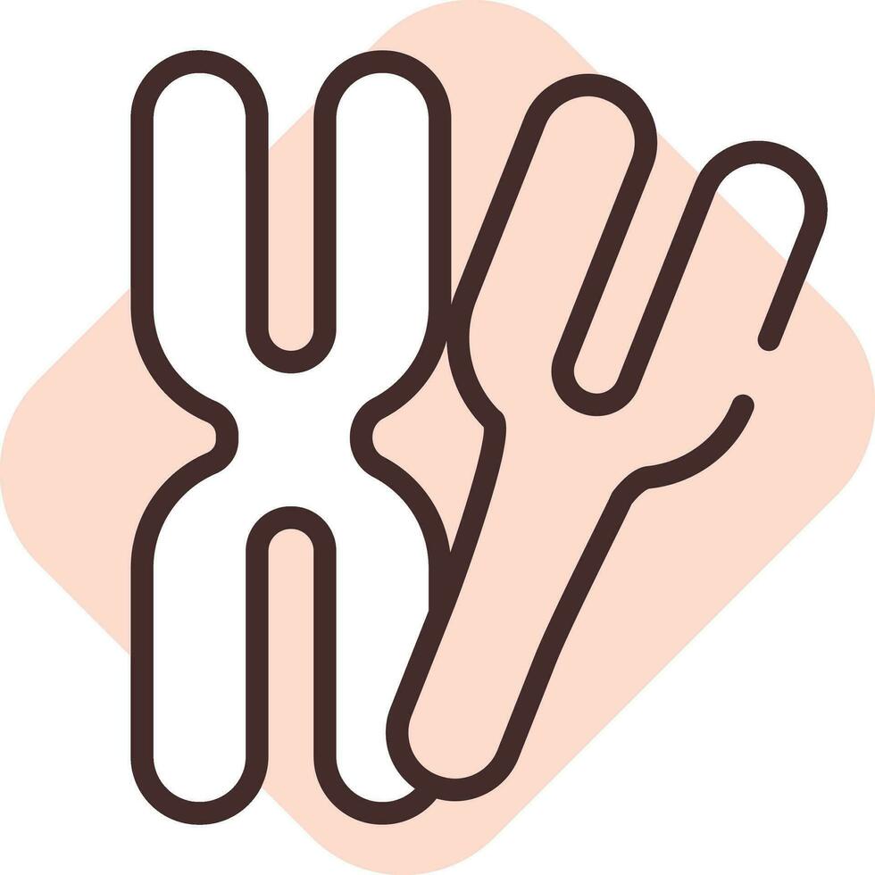 Pregnancy chromosome, icon, vector on white background.