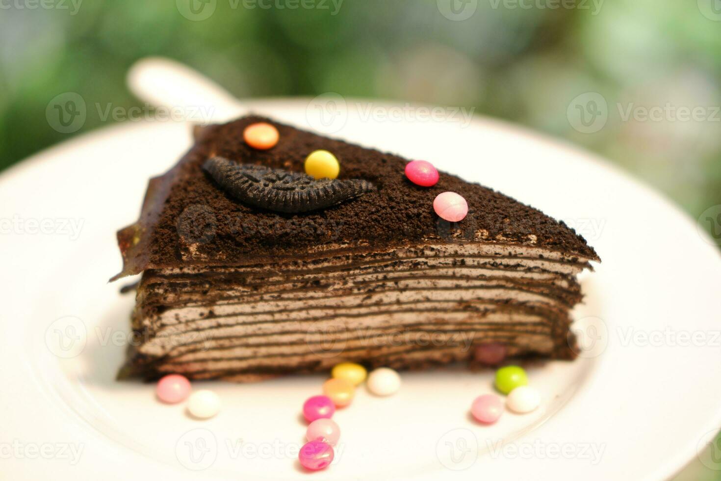 Piece of homemade chocolate crepes cake on a white plate photo