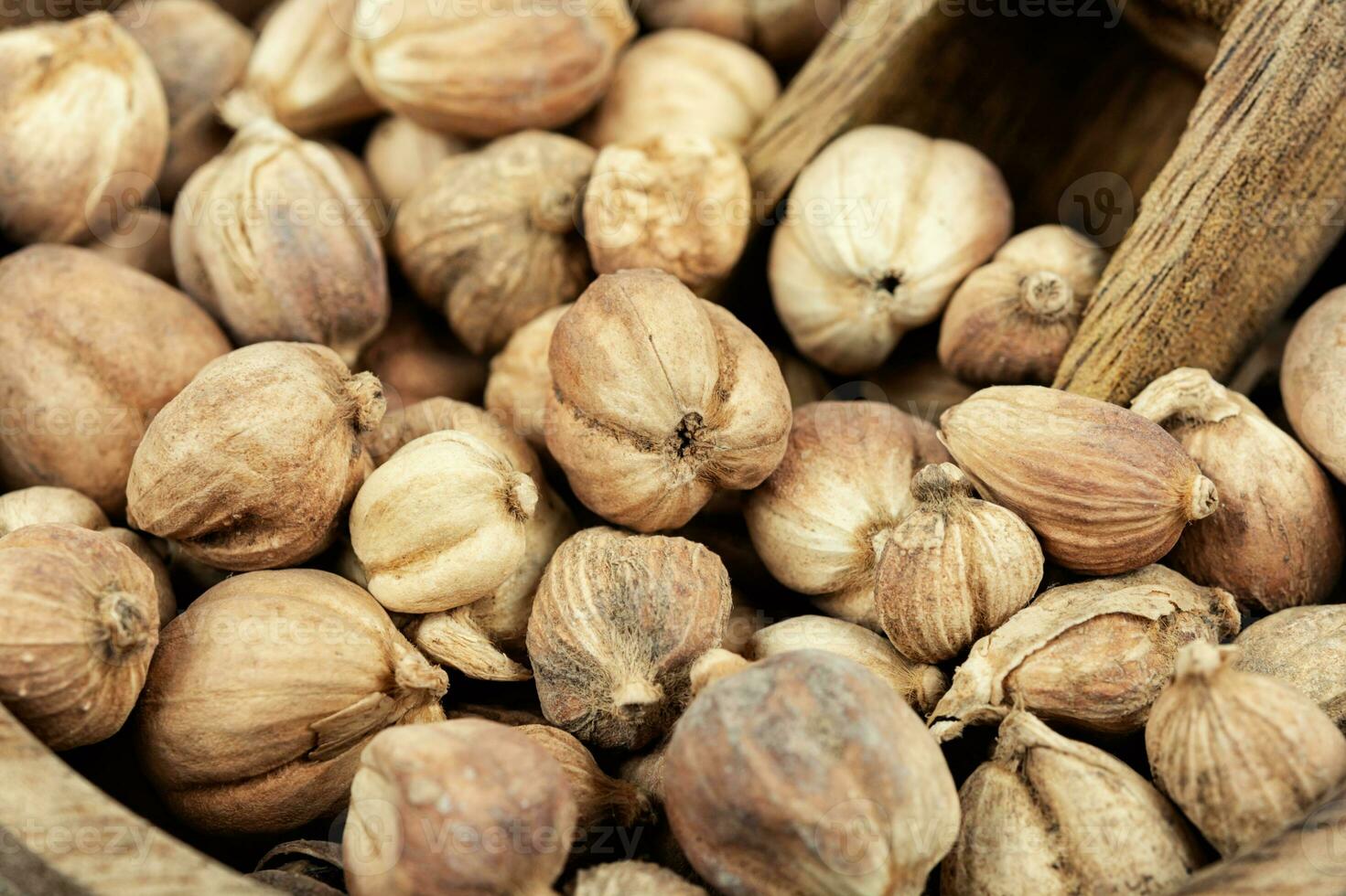 White dried cardamon, spice. photo