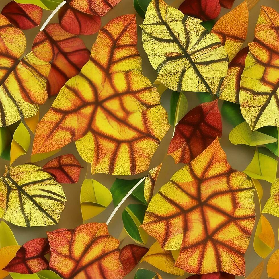 aesthetic appeal of leaves and their patterns in design photo