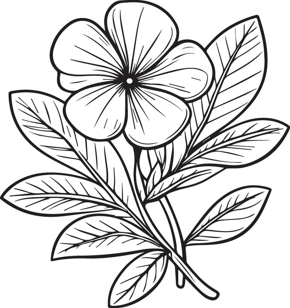 flower arrangement line art collection, Advanced Flower Coloring Page, Beautiful periwinkle floewr wall art, periwinkle Coloring Pages, artistic decorative floral sketch, pretty flower coloring pages vector