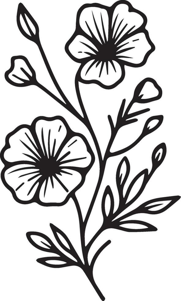 Periwinkle blossom flowers and branch of vase vector illustration. hand Drawing Catharanthus vector illustration for the coloring book or page Black and white engraved ink art, for kids or adults