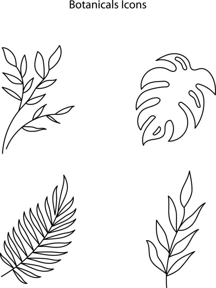 Botanical plant twigs and tender flower in boho linear style vector illustrations set. Bohemian emblems in lines with flowers and leaves symbol for gardering logo and cosmetics packaging