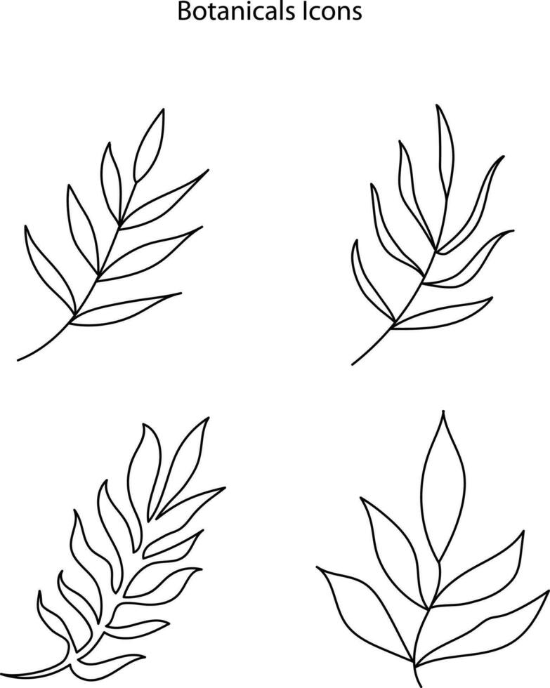 Botanical plant twigs and tender flower in boho linear style vector illustrations set. Bohemian emblems in lines with flowers and leaves symbol for gardering logo and cosmetics packaging