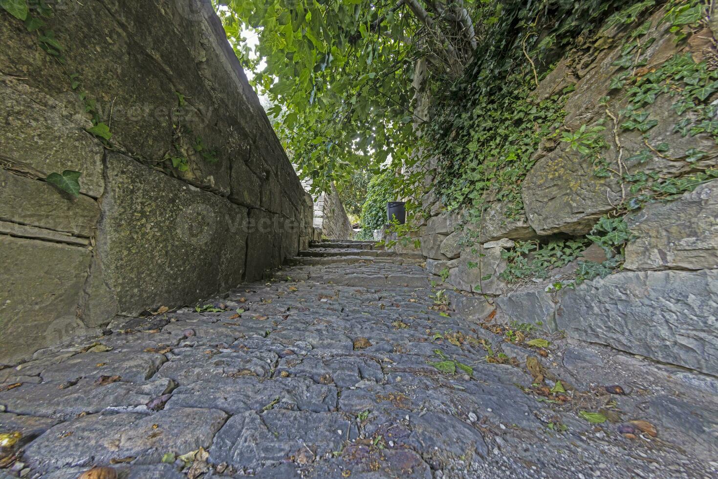 Picture along a cobbled and overgrown hollow way with natural stone walls photo
