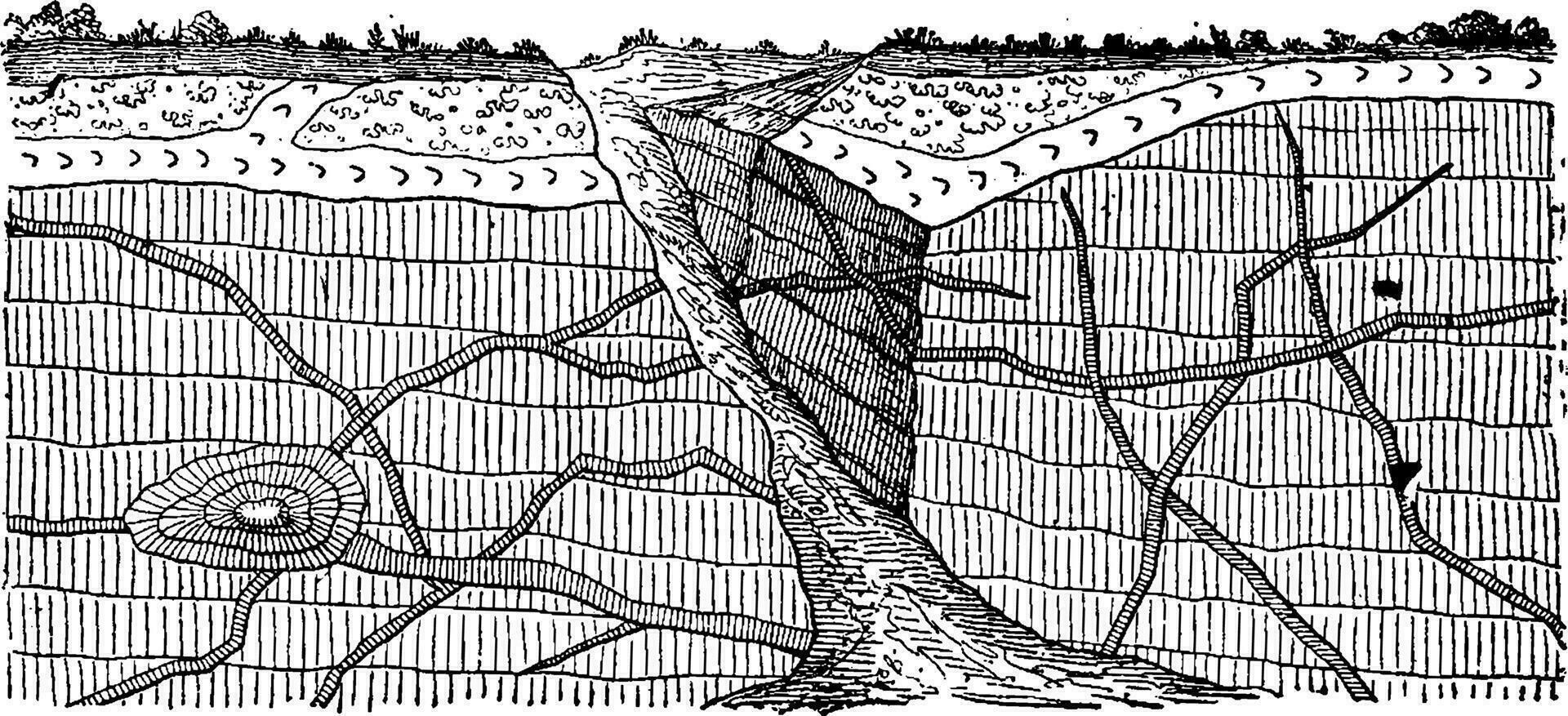 ejemplo eruptivo las venas mediante el estratificado rocas, Clásico grabado. vector