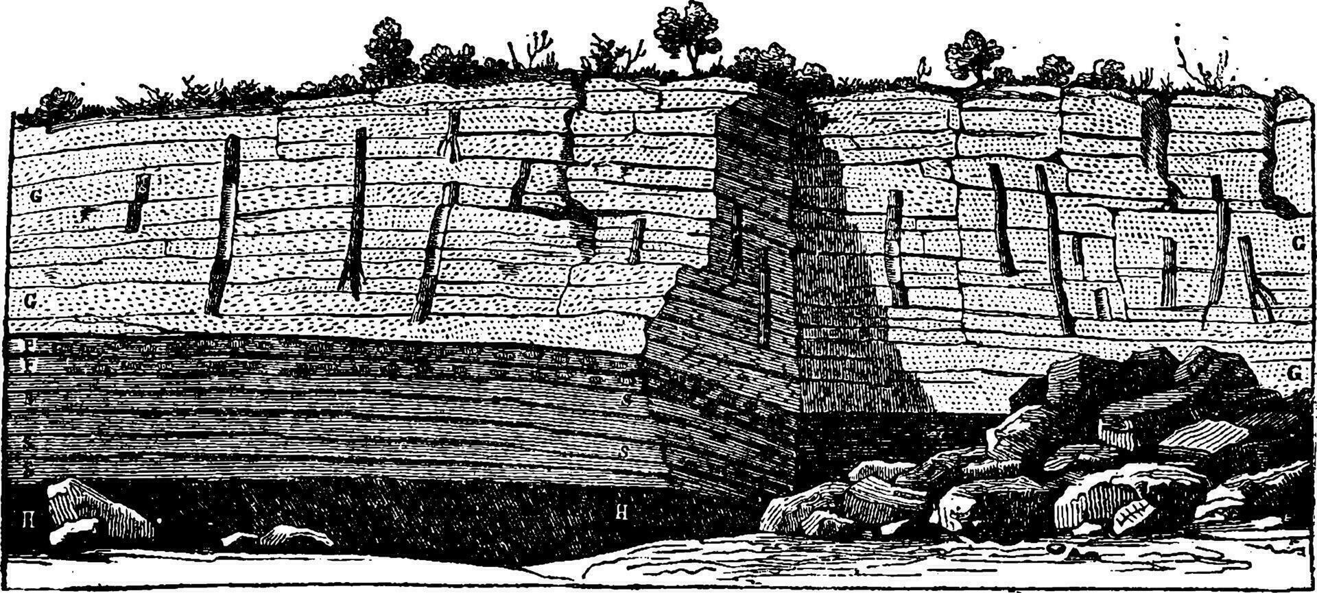 Fossil trees found standing in the coal mines of Saint-Etienne, vintage engraving. vector