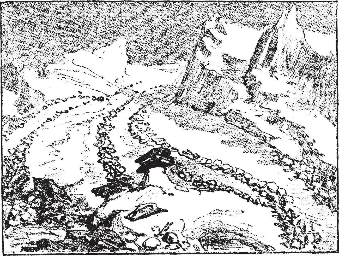 Transport by a glacier of blocks of scuttled stone, vintage engraving. vector