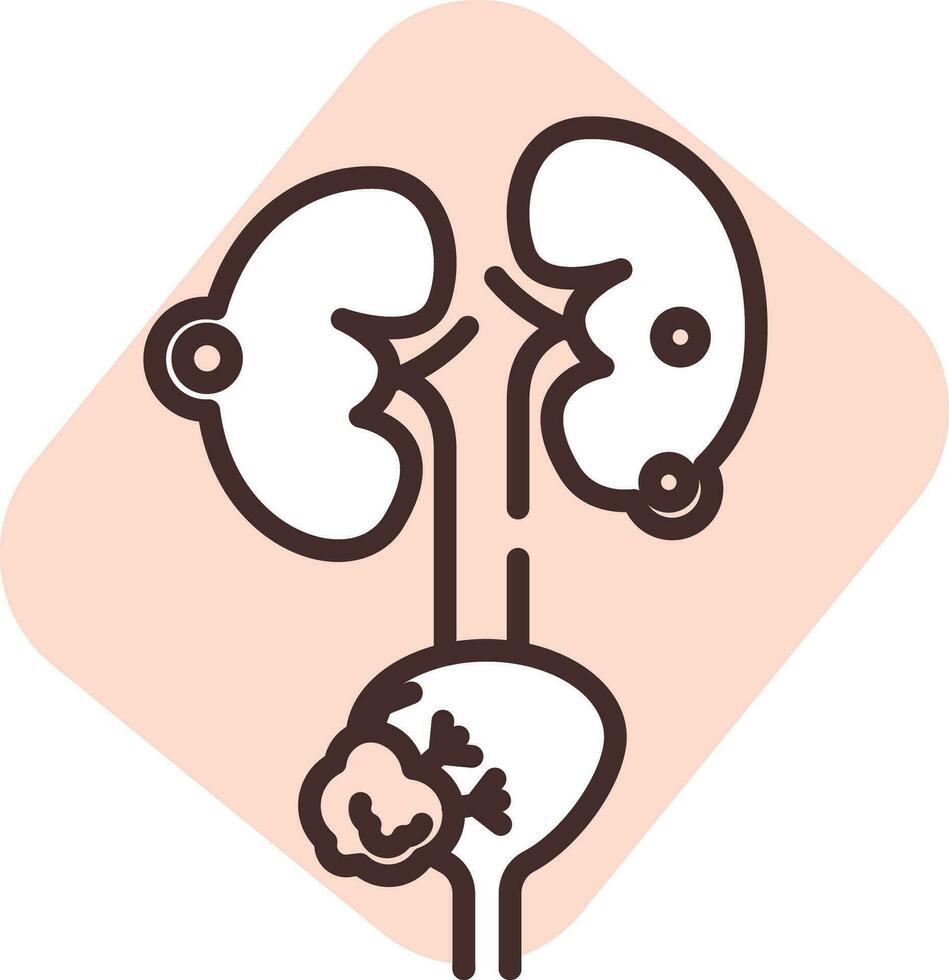Medical prostate, icon, vector on white background.