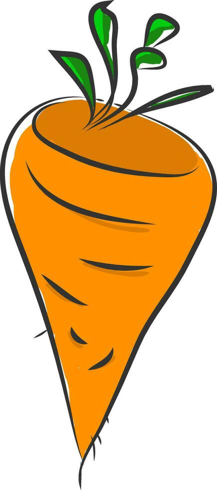 Carrot, vector color illustration.