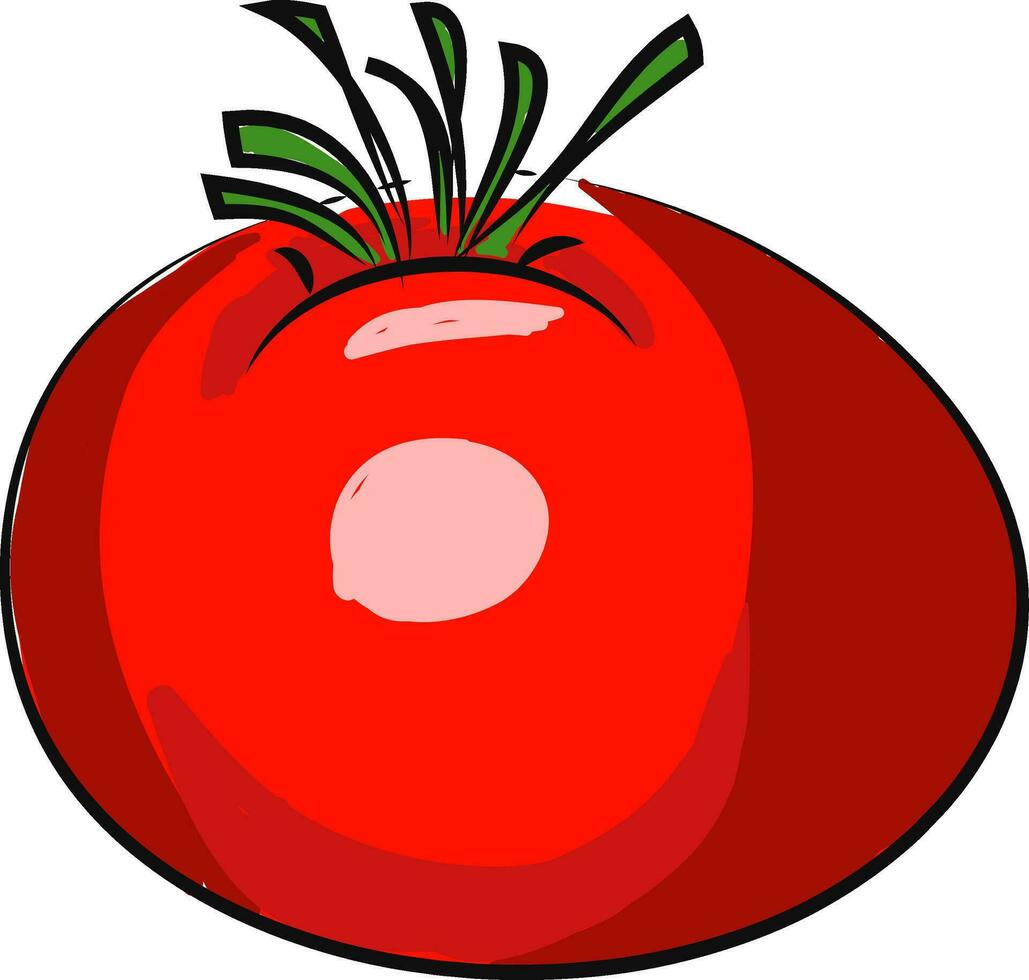 A red tomato, vector color illustration.