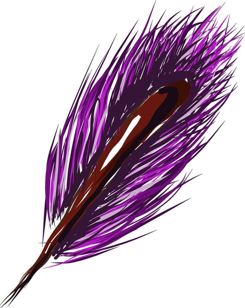 A purple feather, vector color illustration.