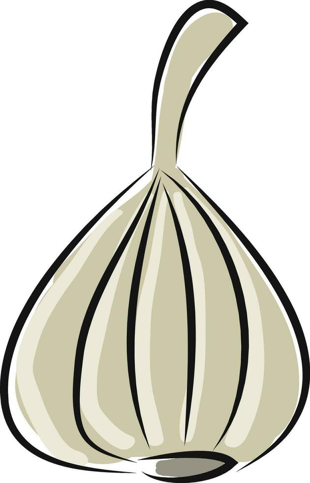 Garlic illustration icon vector