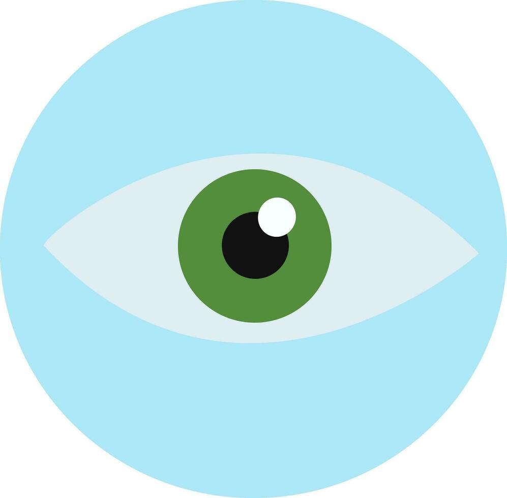 Green and blue eye vector