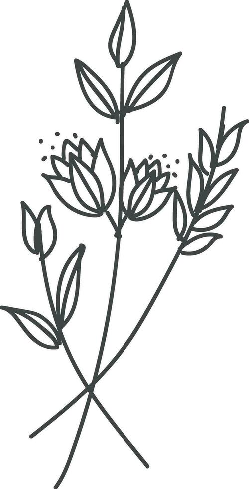 Flower line art vector