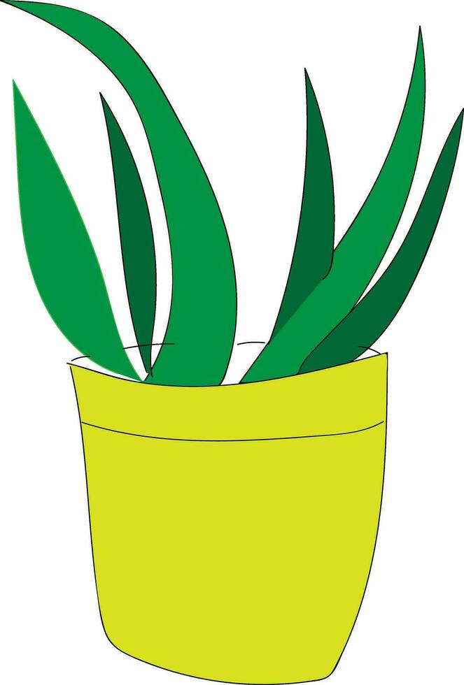 Long green leaf plant in a pot illustration vector on white background