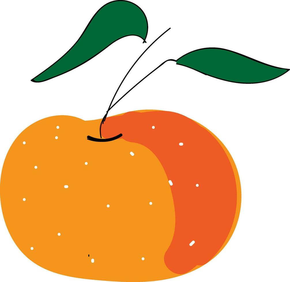Mandarine with green leaves illustration vector on white background