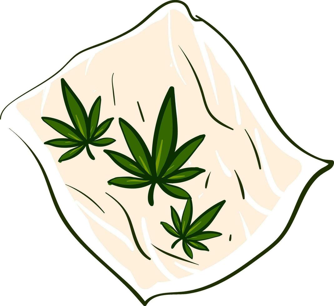 marijuana hojas en un laminación papel ilustración vector en blanco antecedentes