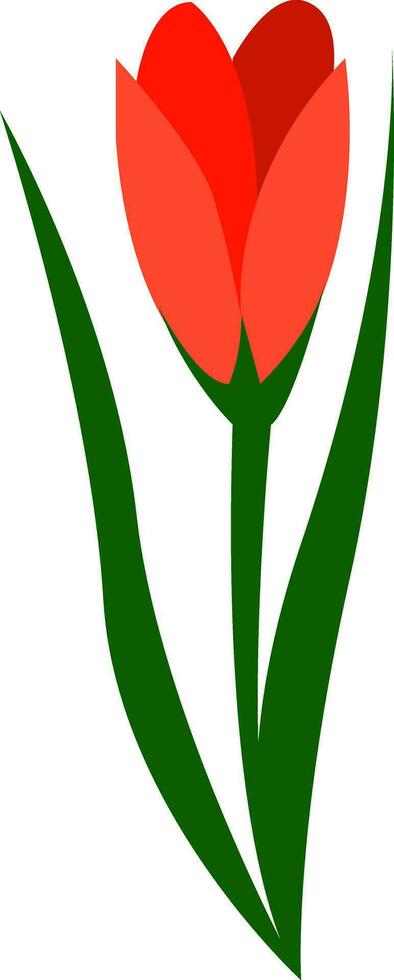 rojo flor ilustración vector en blanco antecedentes