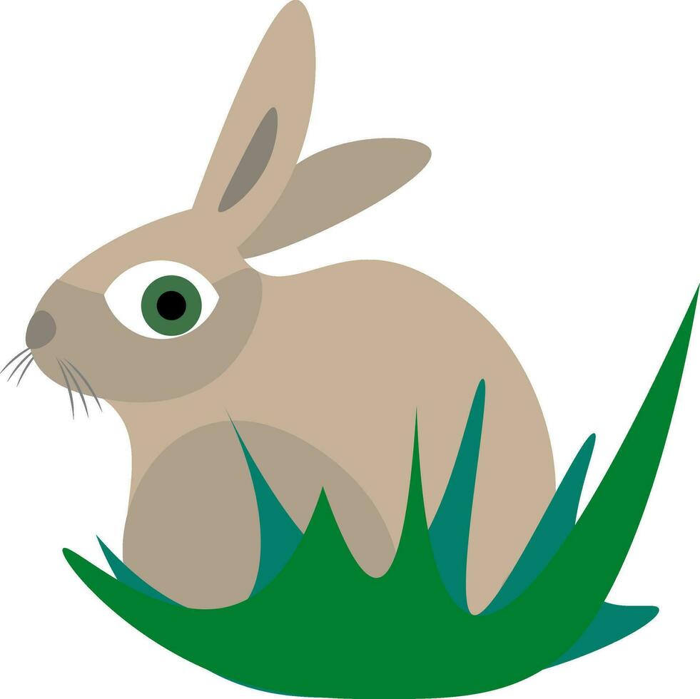 Rabbit illustration vector on white background