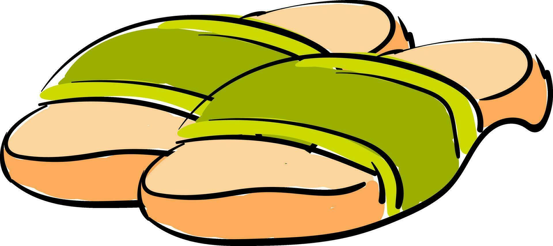 Slippers illustration vector on white background