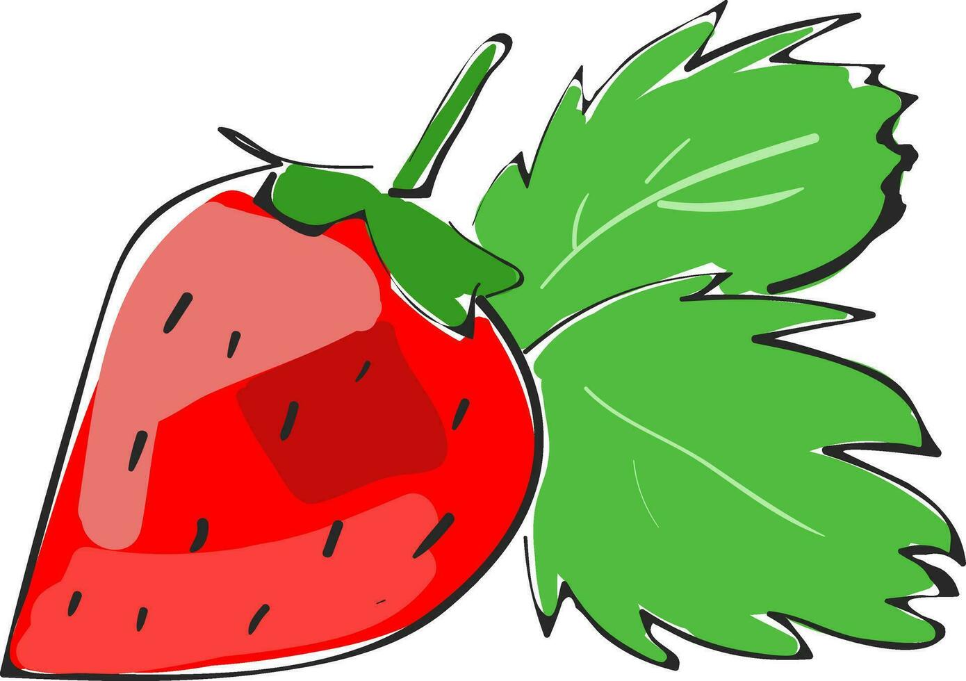 Sketch of strawberry vector or color illustration