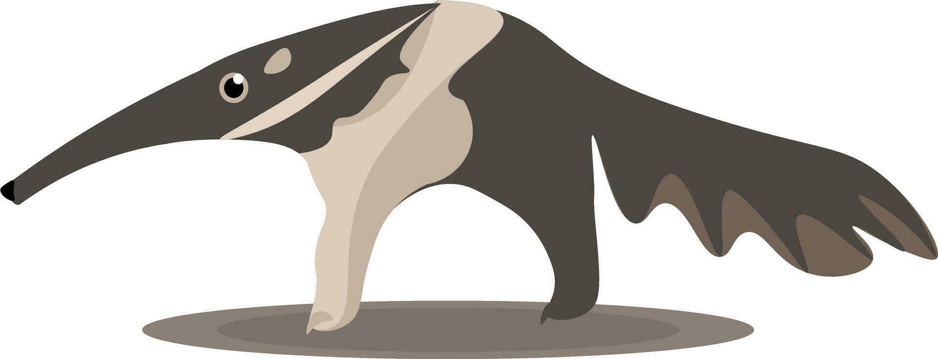 An extant Anteater vector or color illustration