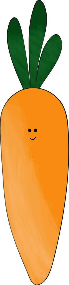 Fresh carrot vector or color illustration