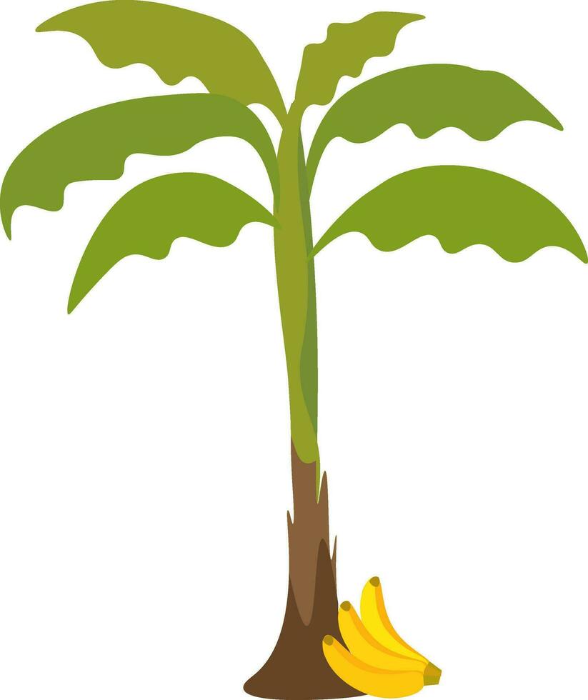 un plátano árbol vector o color ilustración