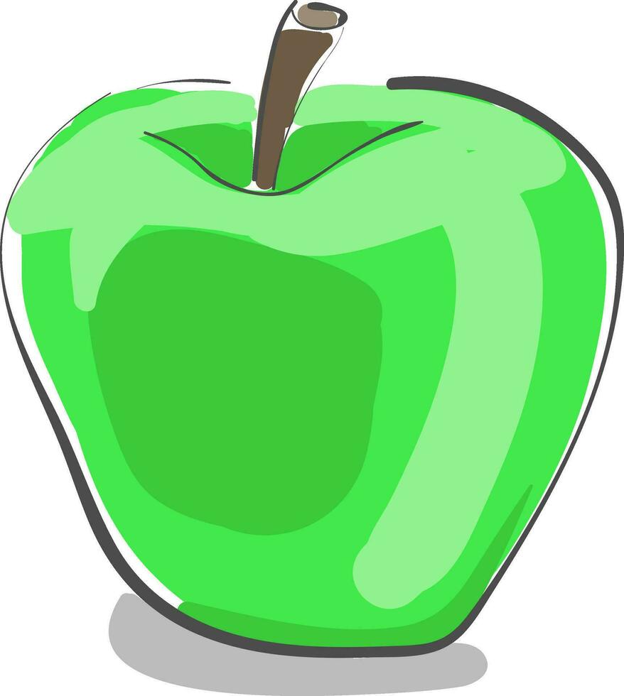 A fresh green apple vector or color illustration