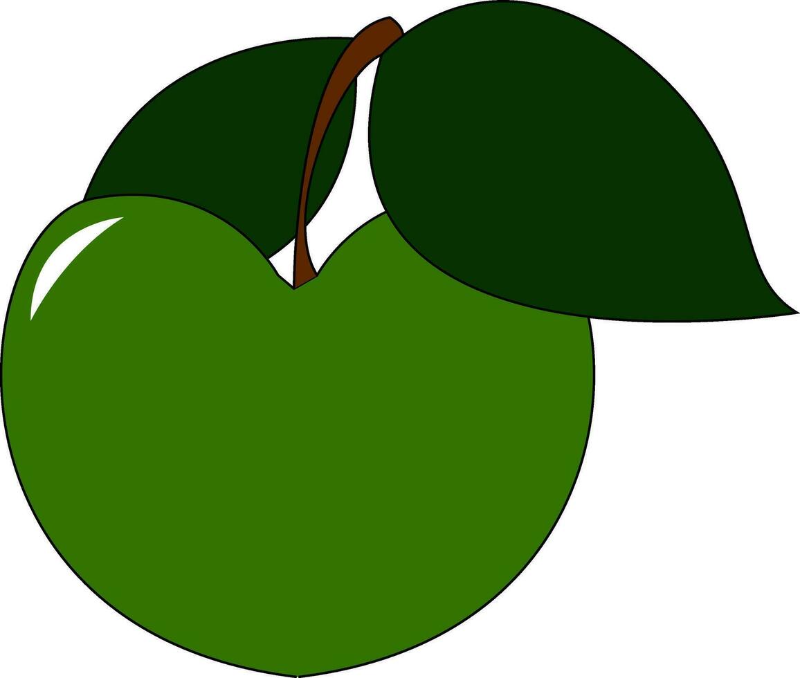 A fresh green apple with leaf vector or color illustration