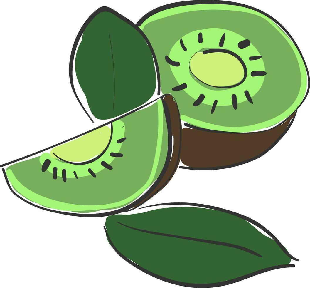 Healthy kiwi vector or color illustration