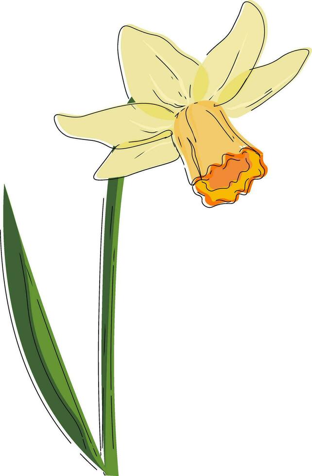 hermosa narciso flor vector o color ilustración