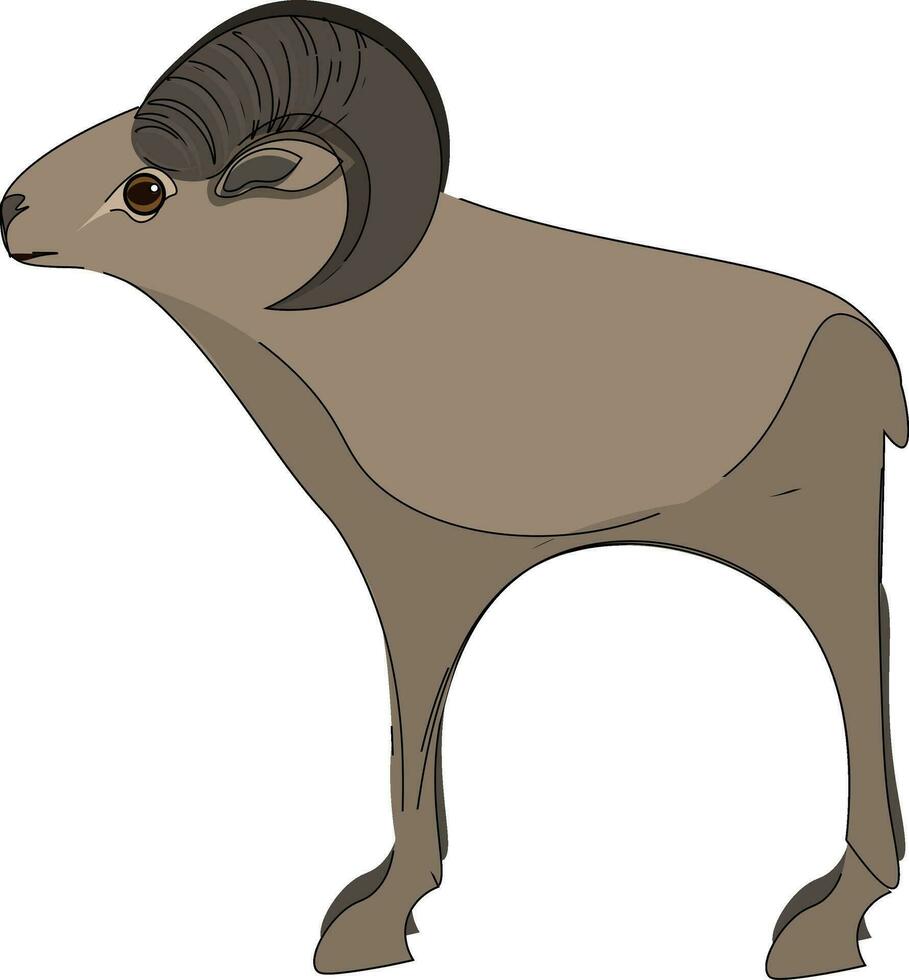 A tall mouflon vector or color illustration