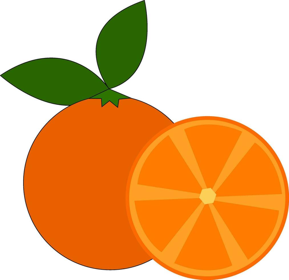 Fresh orange juice vector or color illustration